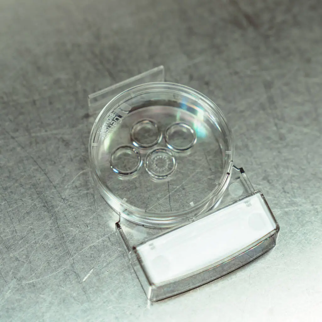 Genea Newcastle IVF success