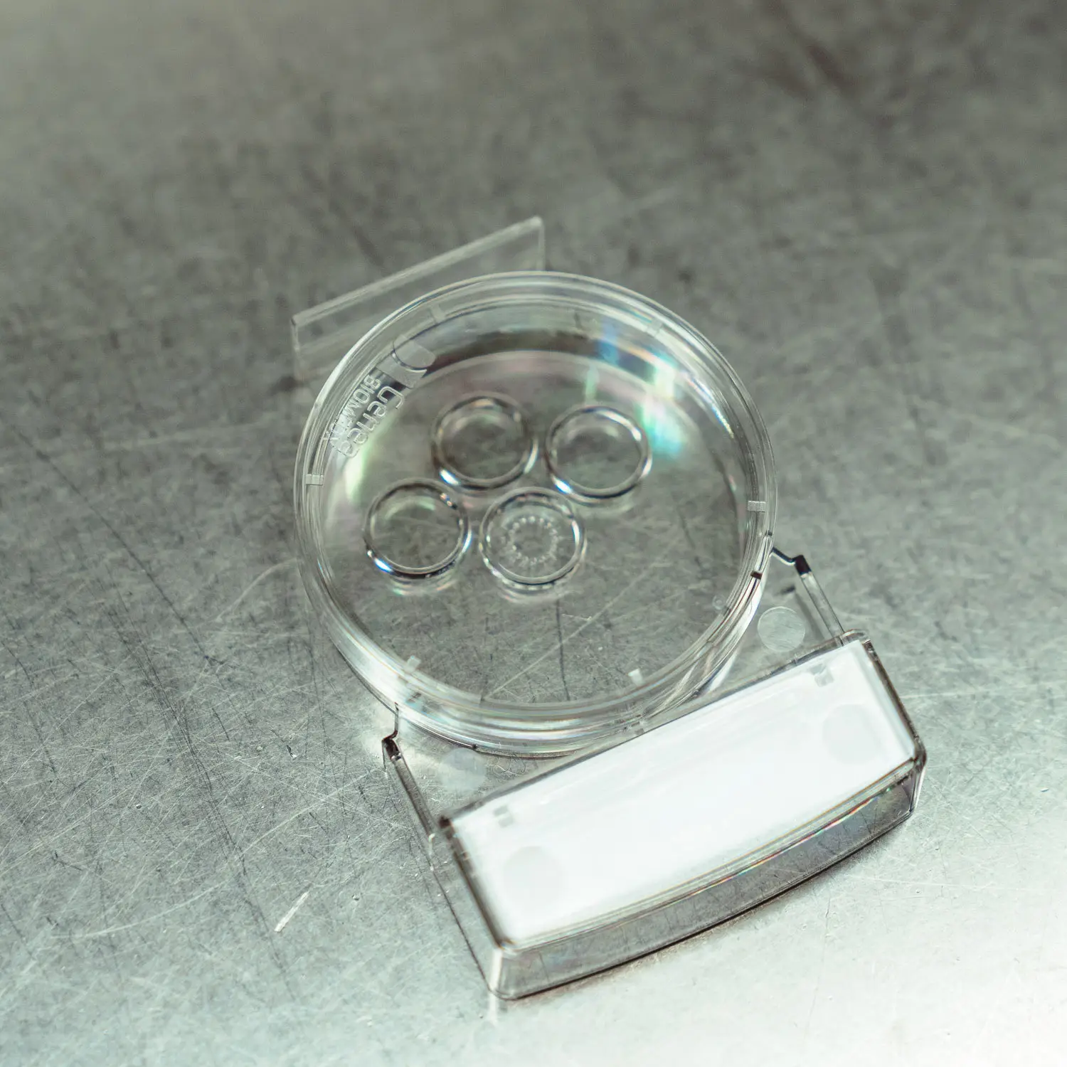 Genea Newcastle IVF success